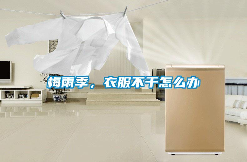 梅雨季,衣服不干怎么辦
