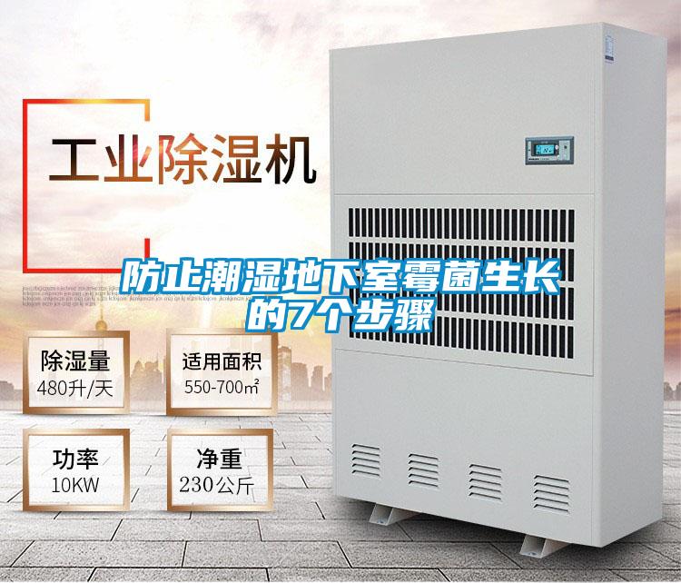 防止潮濕地下室霉菌生長的7個步驟