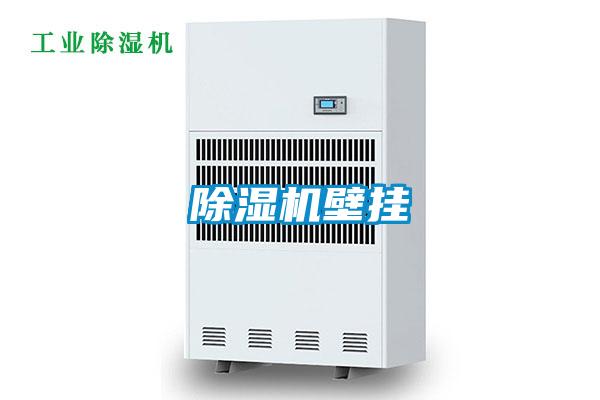 除濕機壁掛