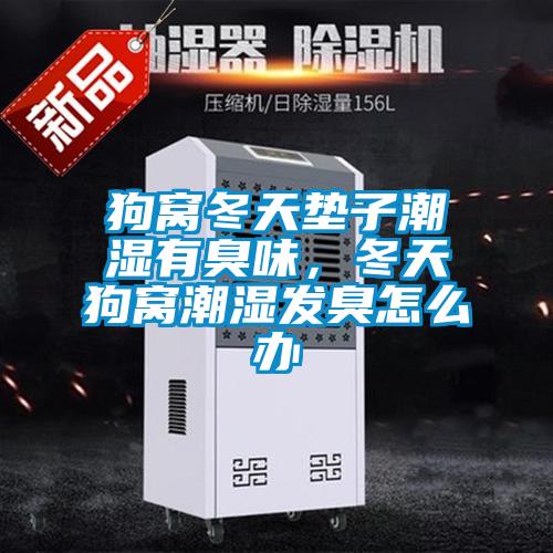 狗窩冬天墊子潮濕有臭味，冬天狗窩潮濕發臭怎么辦
