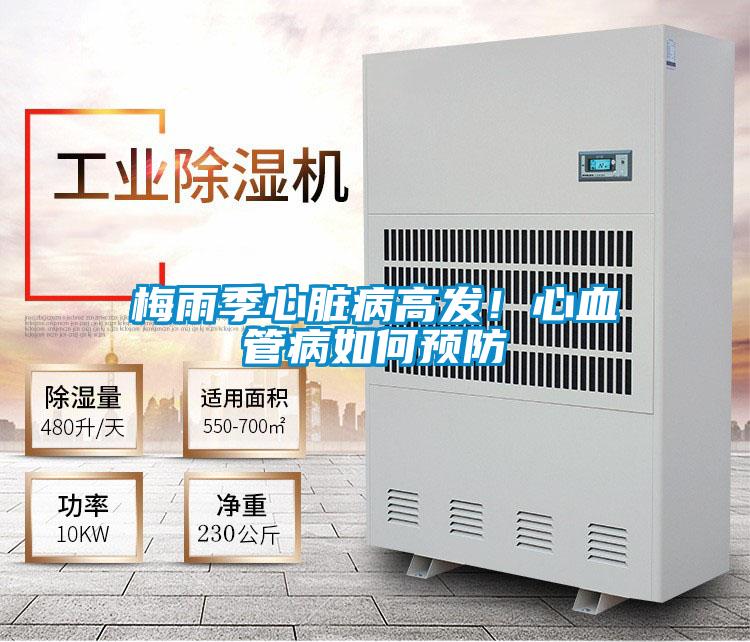 梅雨季心臟病高發!心血管病如何預防