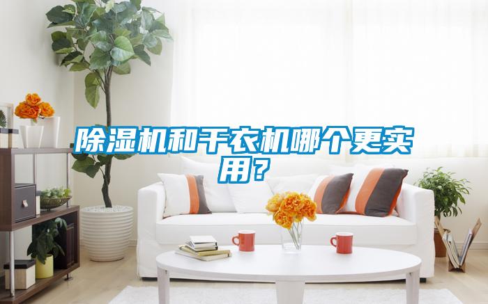 除濕機和干衣機哪個更實用?