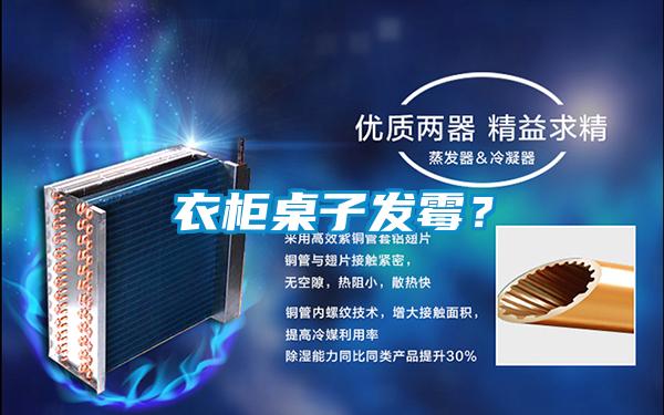 衣柜桌子發(fā)霉?