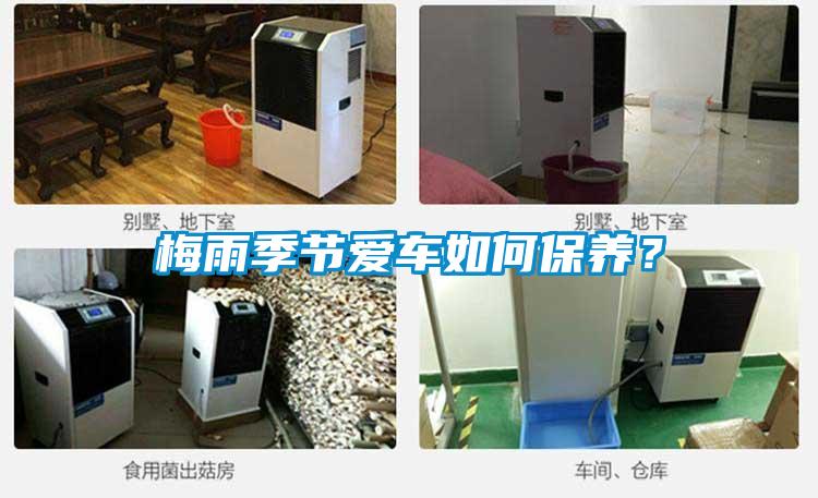 梅雨季節愛車如何保養？