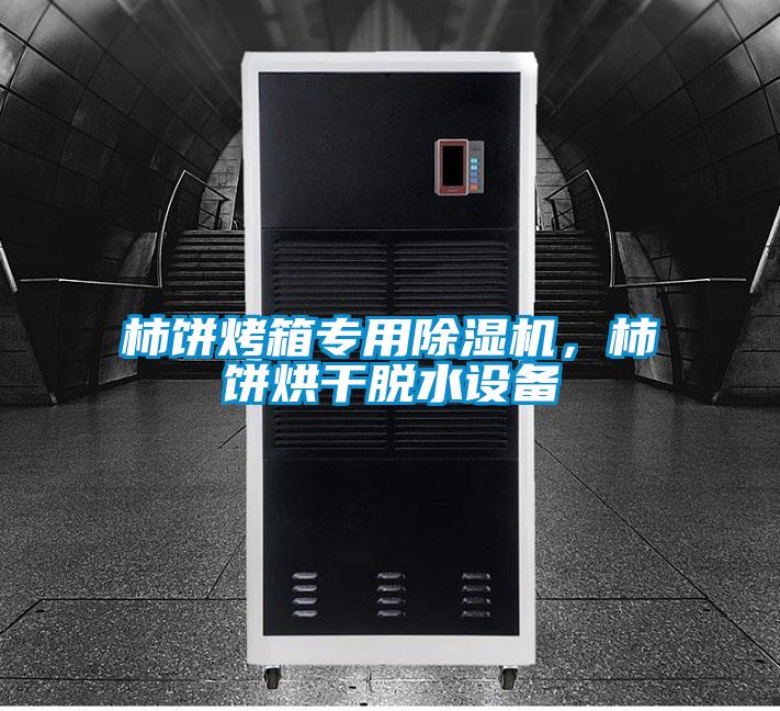 柿餅烤箱專用除濕機,柿餅烘干脫水設備