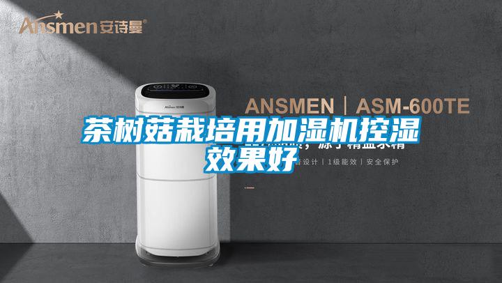 茶樹菇栽培用加濕機(jī)控濕效果好