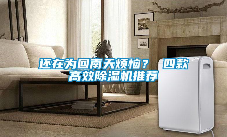 還在為回南天煩惱? 四款高效除濕機推薦