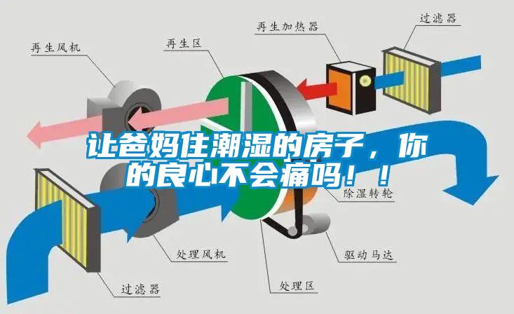 讓爸媽住潮濕的房子,你的良心不會痛嗎!!