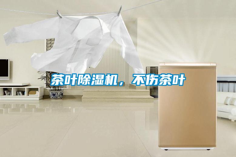 茶葉除濕機,不傷茶葉