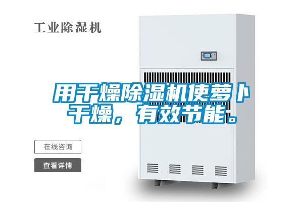 用干燥除濕機使蘿卜干燥,有效節能。