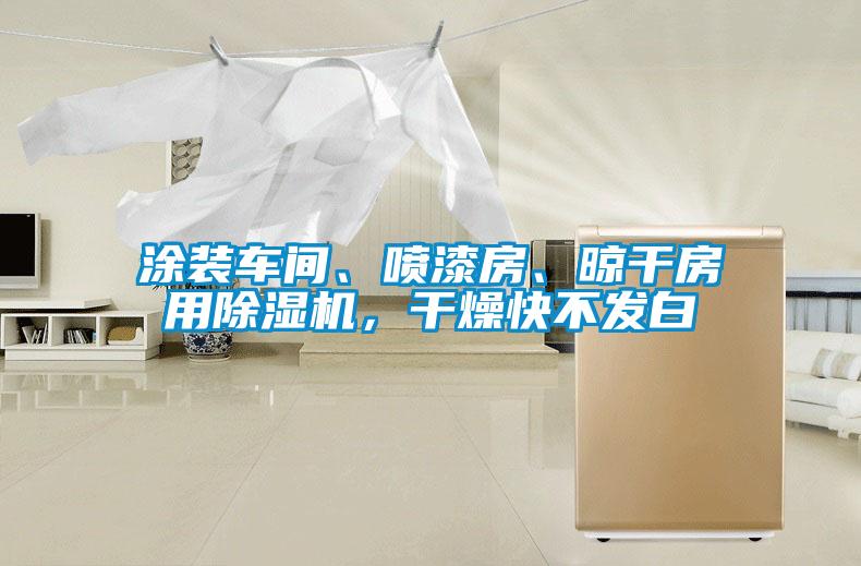 涂裝車間、噴漆房、晾干房用除濕機,干燥快不發(fā)白