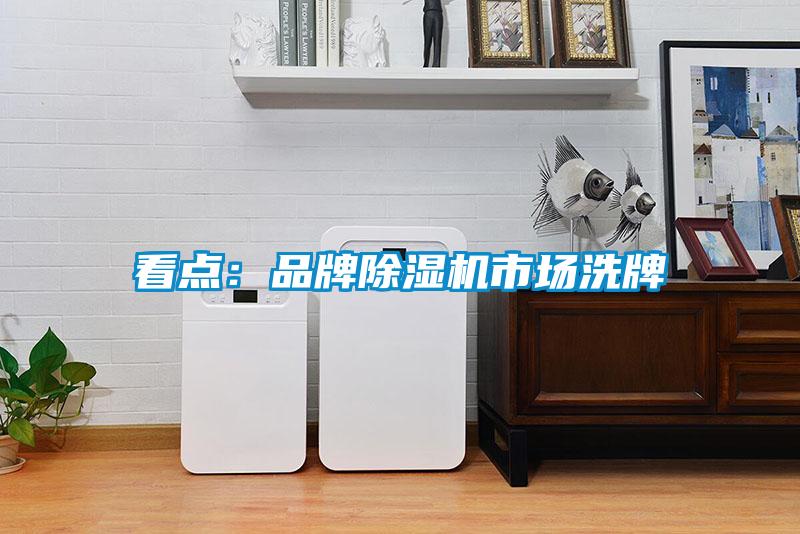 看點:品牌除濕機市場洗牌
