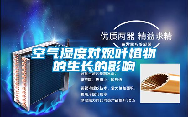 空氣濕度對觀葉植物的生長的影響