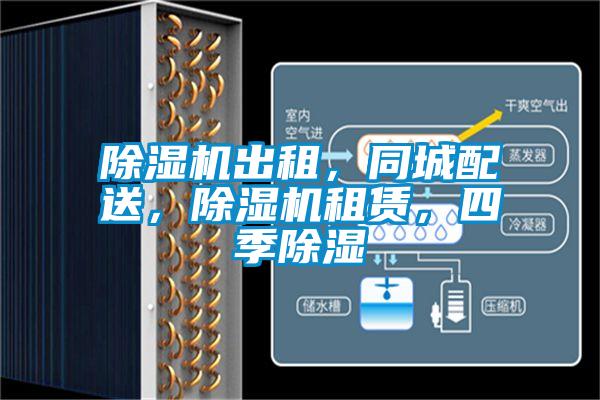 除濕機出租,同城配送,除濕機租賃,四季除濕