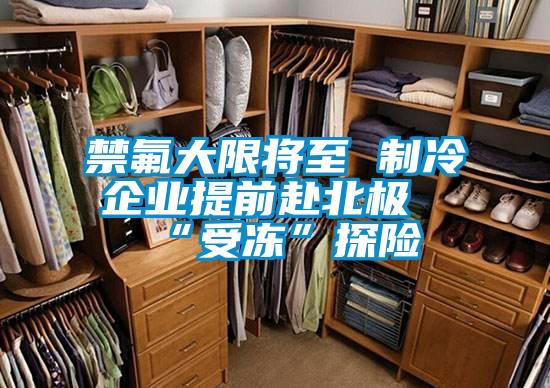 禁氟大限將至 制冷企業提前赴北極“受凍”探險