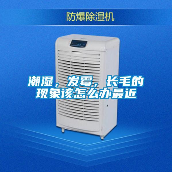 潮濕,發霉,長毛的現象該怎么辦最近