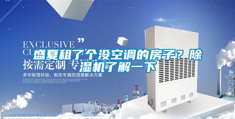 盛夏租了個沒空調的房子?除濕機了解一下