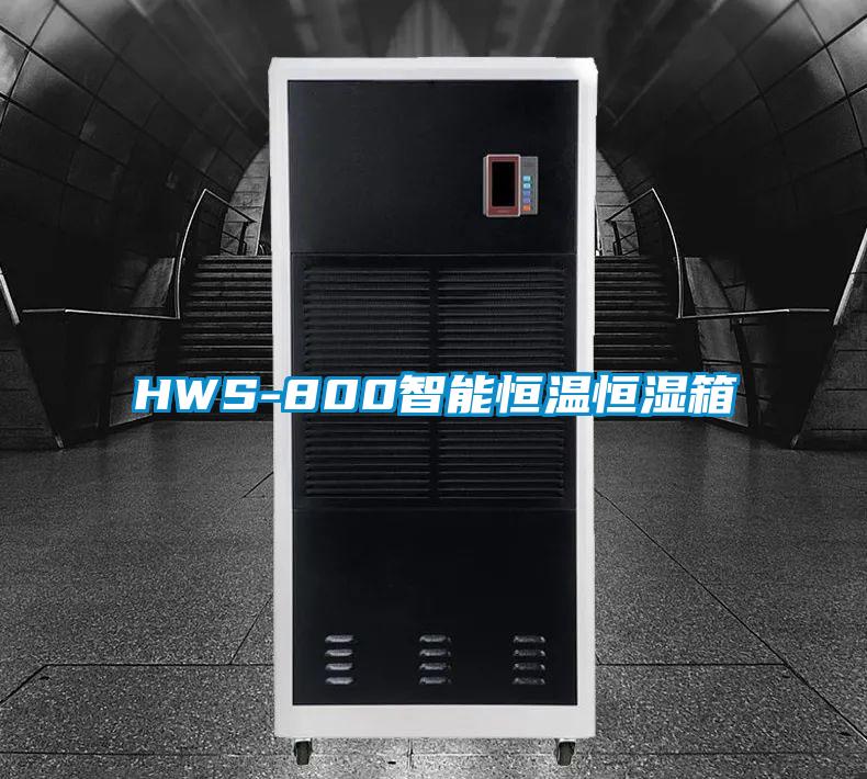 HWS-800智能恒溫恒濕箱