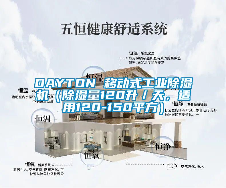 DAYTON 移動式工業(yè)除濕機(jī)(除濕量120升/天,適用120-150平方)