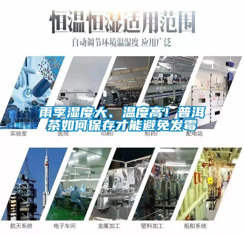 雨季濕度大、溫度高！普洱茶如何保存才能避免發(fā)霉