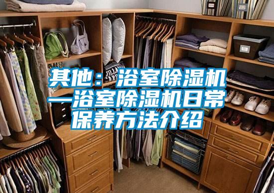其他:浴室除濕機—浴室除濕機日常保養方法介紹