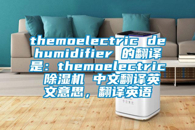 themoelectric dehumidifier 的翻譯是：themoelectric 除濕機 中文翻譯英文意思，翻譯英語