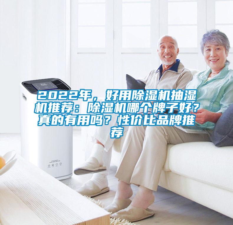 2022年,好用除濕機抽濕機推薦:除濕機哪個牌子好?真的有用嗎?性價比品牌推薦