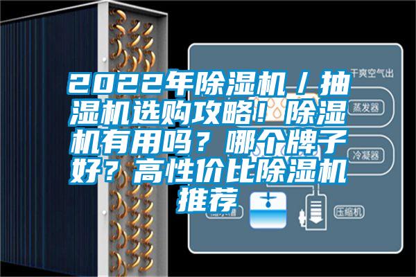 2022年除濕機/抽濕機選購攻略!除濕機有用嗎?哪個牌子好?高性價比除濕機推薦