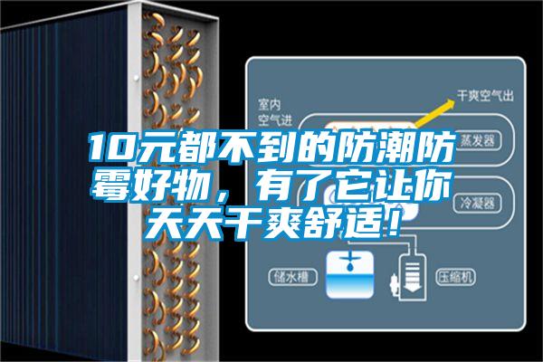 10元都不到的防潮防霉好物,有了它讓你天天干爽舒適!