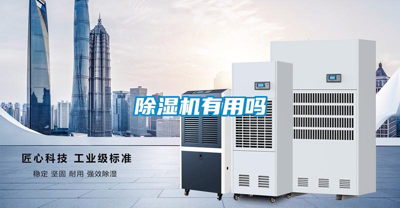 除濕機有用嗎
