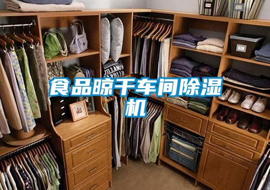 食品晾干車間除濕機