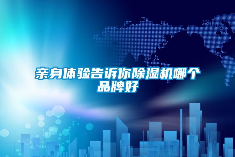 親身體驗告訴你除濕機哪個品牌好