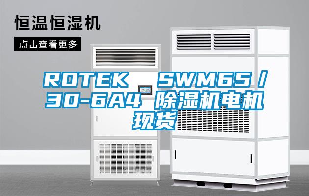 ROTEK SWM65/30-6A4 除濕機電機現貨