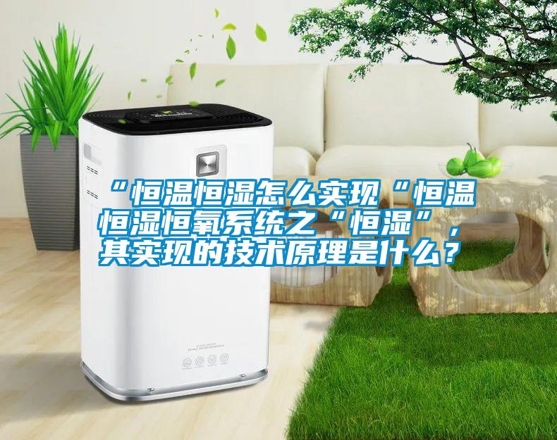 “恒溫恒濕怎么實現“恒溫恒濕恒氧系統之“恒濕”,其實現的技術原理是什么?