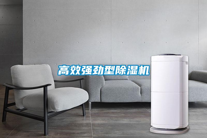 高效強勁型除濕機