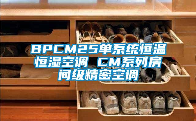 BPCM25單系統恒溫恒濕空調 CM系列房間級精密空調