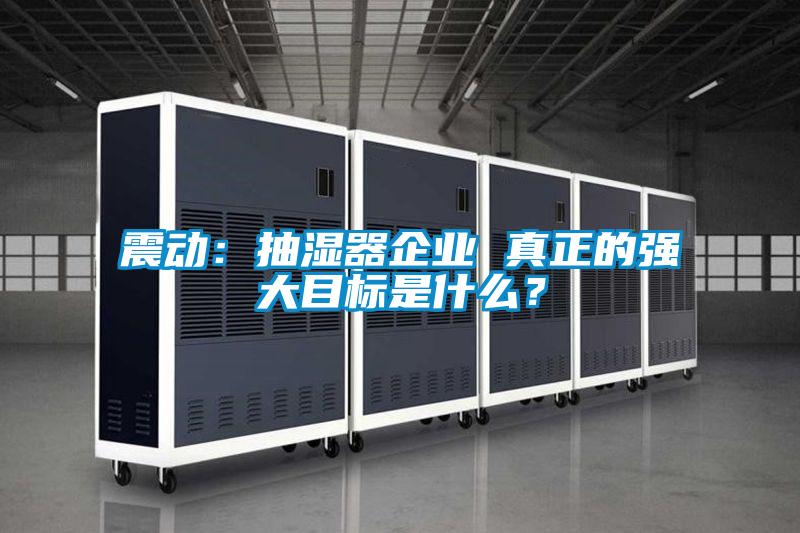 震動：抽濕器企業 真正的強大目標是什么？