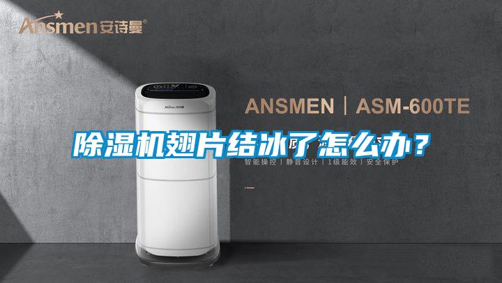 除濕機翅片結冰了怎么辦？