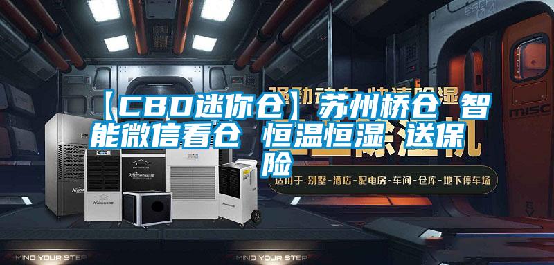 【CBD迷你倉】蘇州橋倉 智能微信看倉 恒溫恒濕 送保險