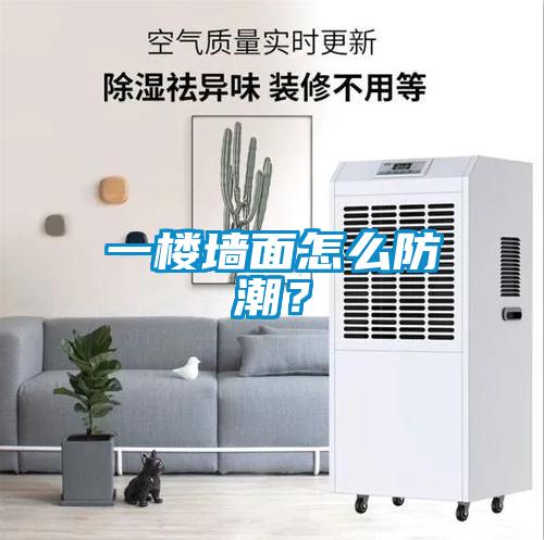 一樓墻面怎么防潮？