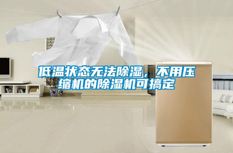 低溫狀態無法除濕,不用壓縮機的除濕機可搞定