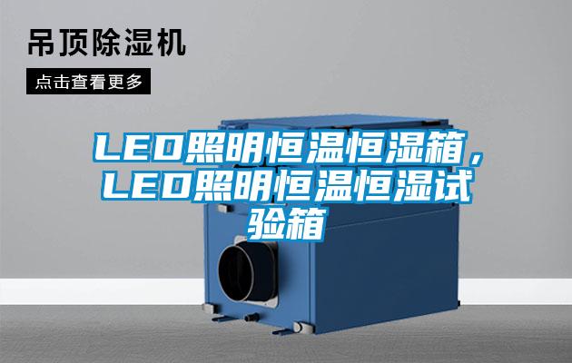 LED照明恒溫恒濕箱,LED照明恒溫恒濕試驗箱