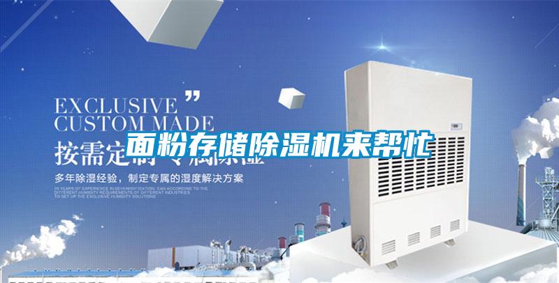 面粉存儲除濕機來幫忙