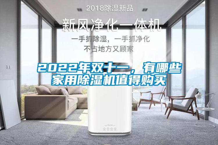 2022年雙十一,有哪些家用除濕機值得購買