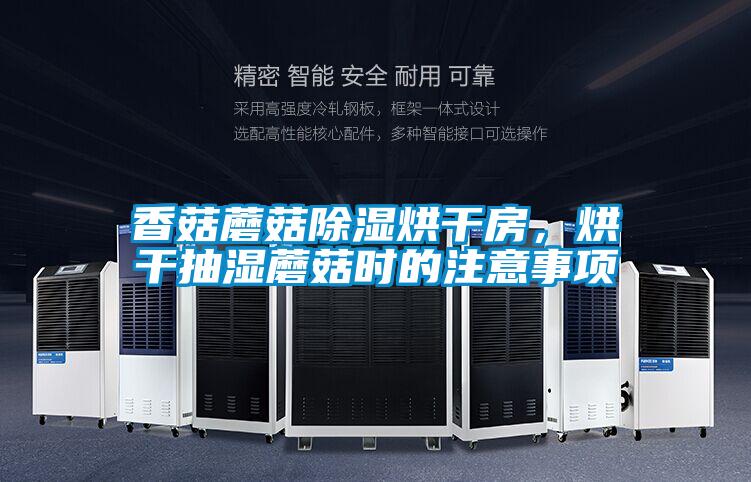 香菇蘑菇除濕烘干房,烘干抽濕蘑菇時(shí)的注意事項(xiàng)