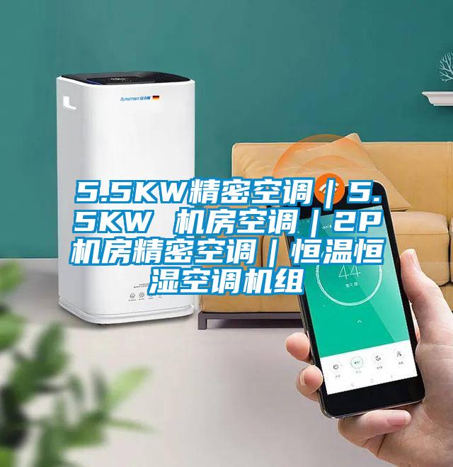 5.5KW精密空調(diào)|5.5KW 機(jī)房空調(diào)|2P機(jī)房精密空調(diào)|恒溫恒濕空調(diào)機(jī)組