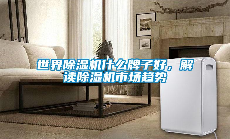 世界除濕機什么牌子好,解讀除濕機市場趨勢