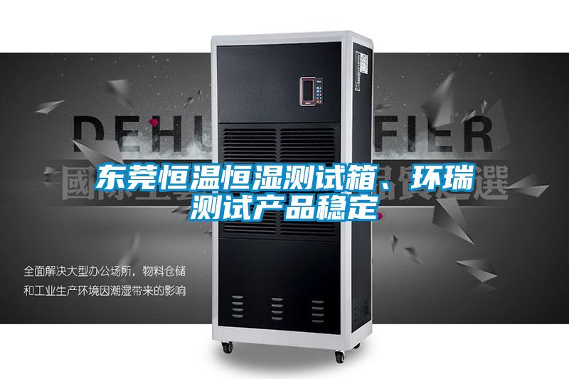 東莞恒溫恒濕測試箱、環瑞測試產品穩定