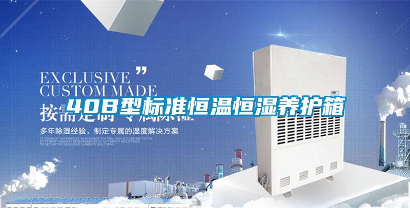 40B型標準恒溫恒濕養護箱