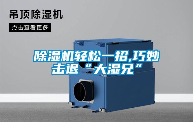 除濕機輕松一招,巧妙擊退“大濕兄”